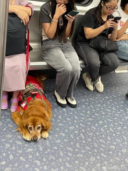 解决方案 第27页
