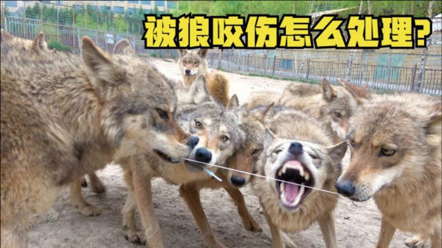 下载中心 第20页