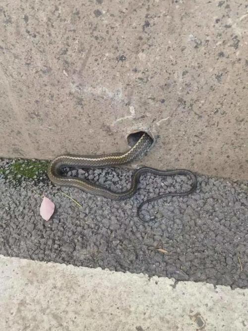 解决方案 第6页